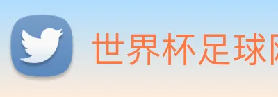 世界杯足球网 Logo